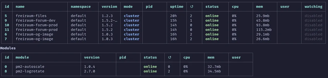 List of processes managed by PM2